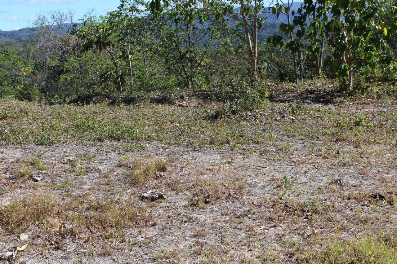 San Juanillo Farm | Large-Scale Ocean View Land with Investment Potential