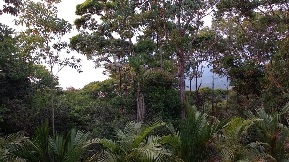 New Home and Guest Villa near Tinamastes Alfombra