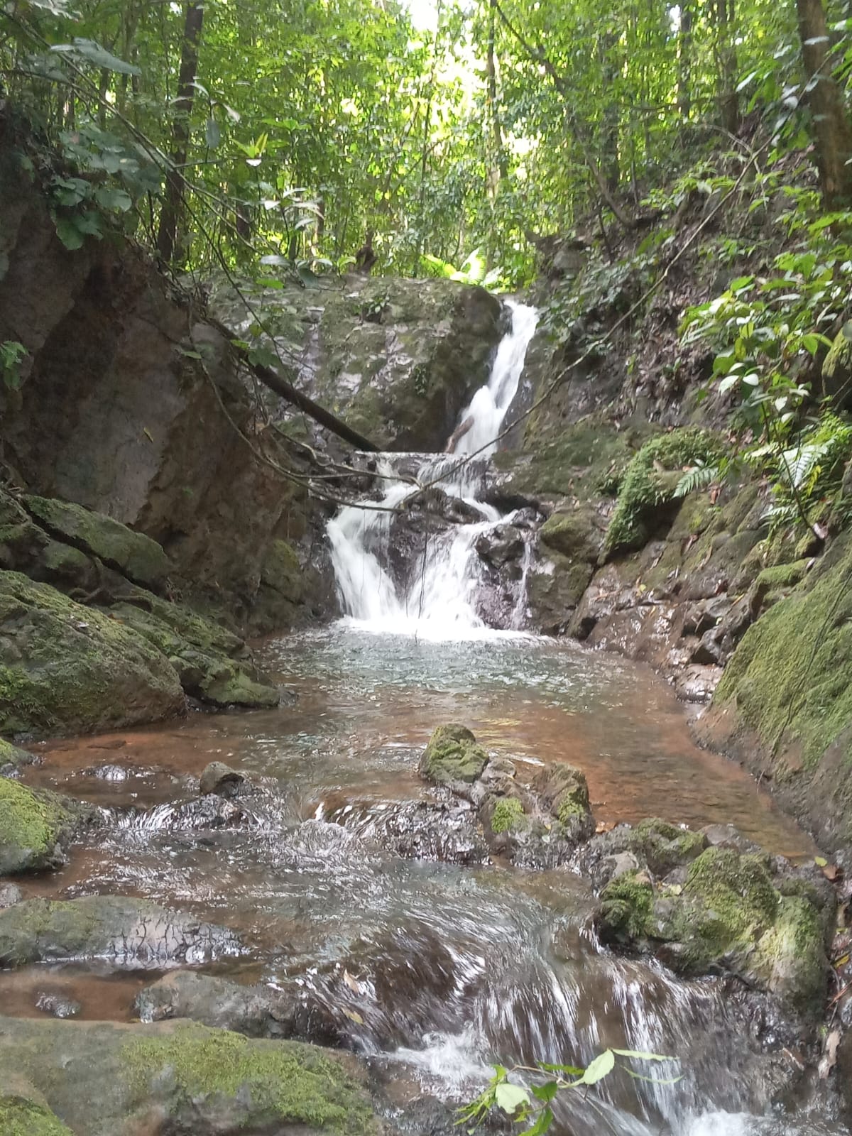 776 Hectares Prime Land in Osa | Ocean Views, Waterfalls, Rivers & Sierpe River Access