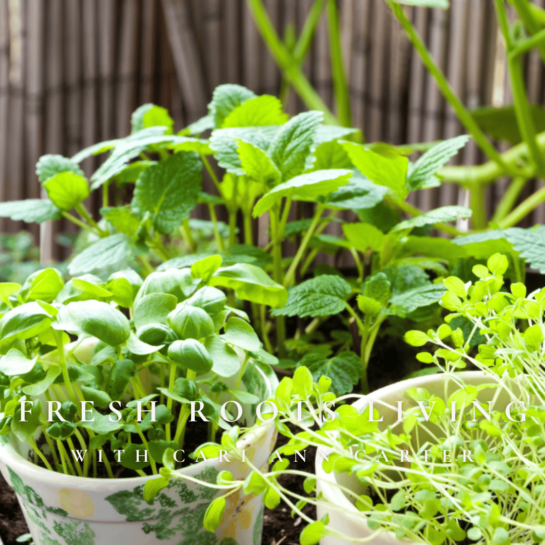 Fresh Herbs, Zero Waste