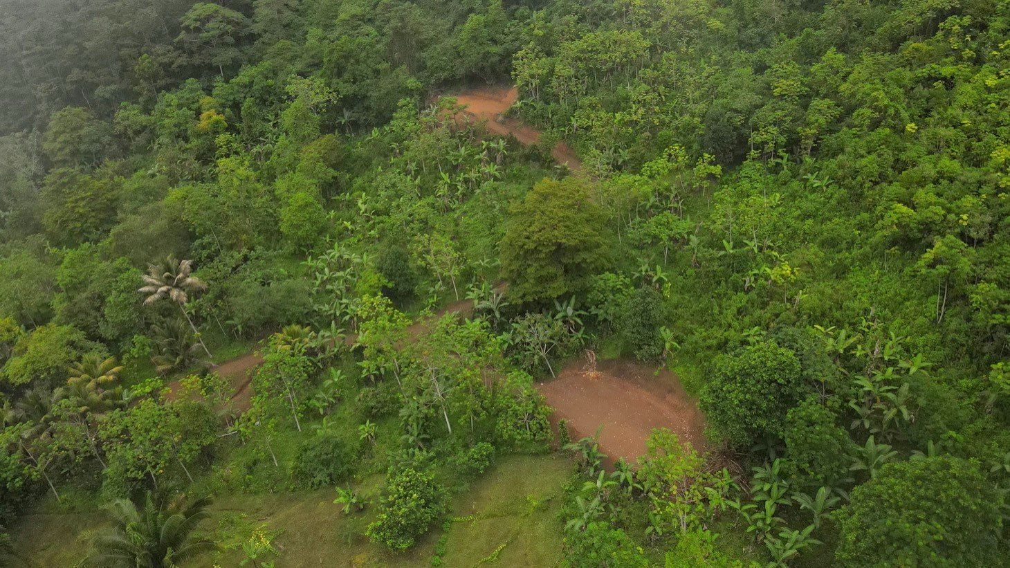 Mountain View Land with Several Building Sites and Mature Fruit Trees