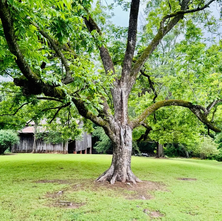 A Stunning Countryside Retreat Near Greenville and Anderson, SC: 800 Holiday Dam Road, Honea Path