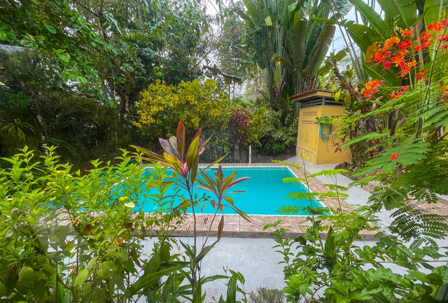 Cozy Colonial Home with Lush Gardens and Prime Commercial Prospects