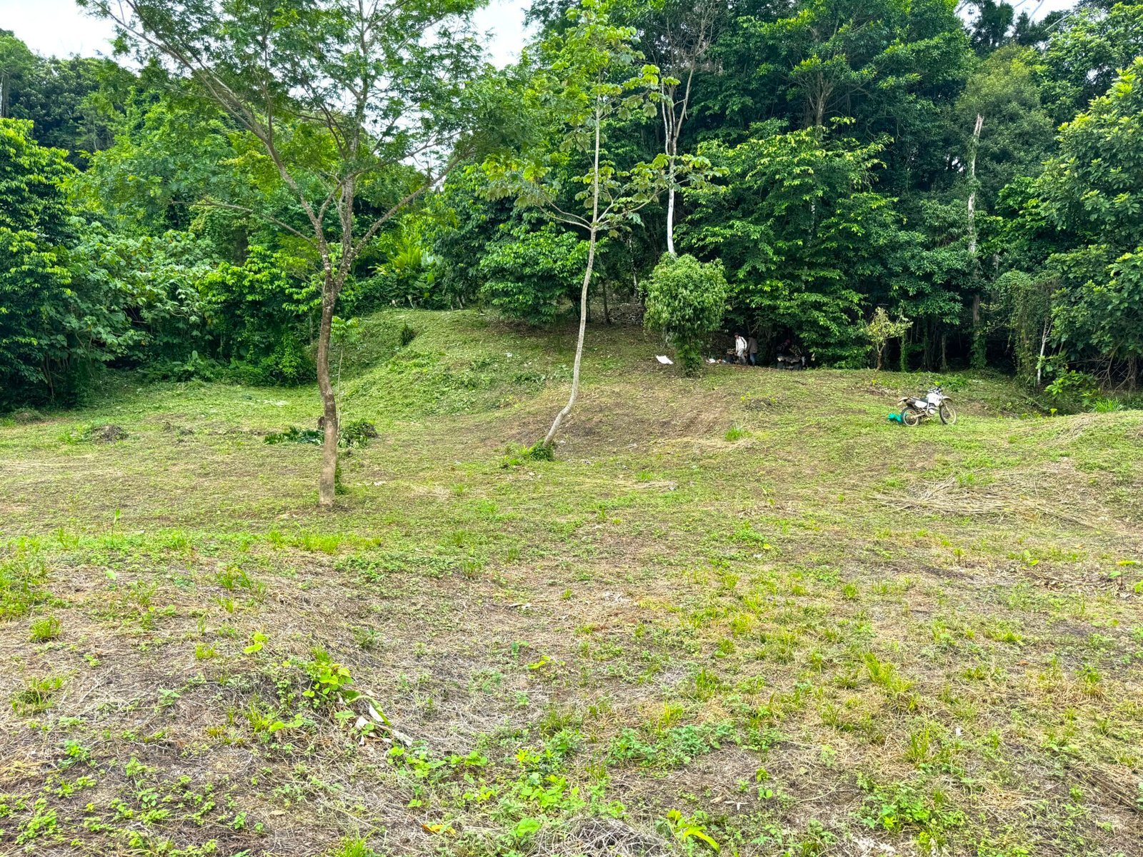 4.76 ACRES – Ocean View Property in Lagunas, Completely Flat And Usable, Commercial Or Residential, Ready To Build!!!