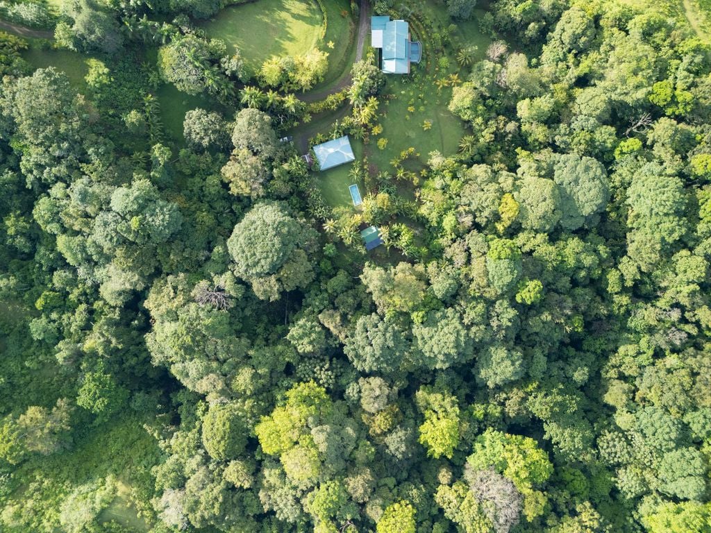 Finca Santa Clara – Ocean View Estate