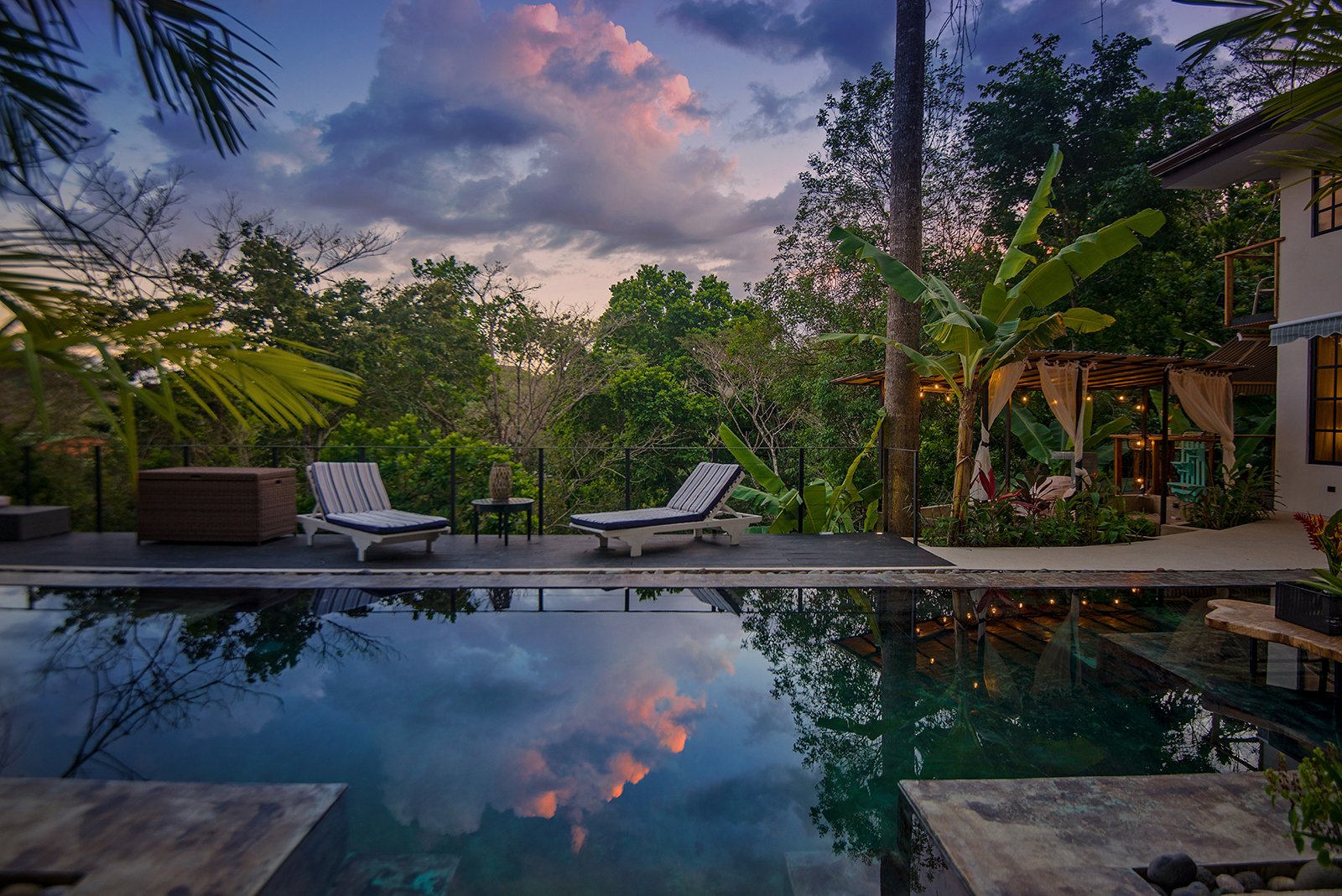 The Jungle Residence