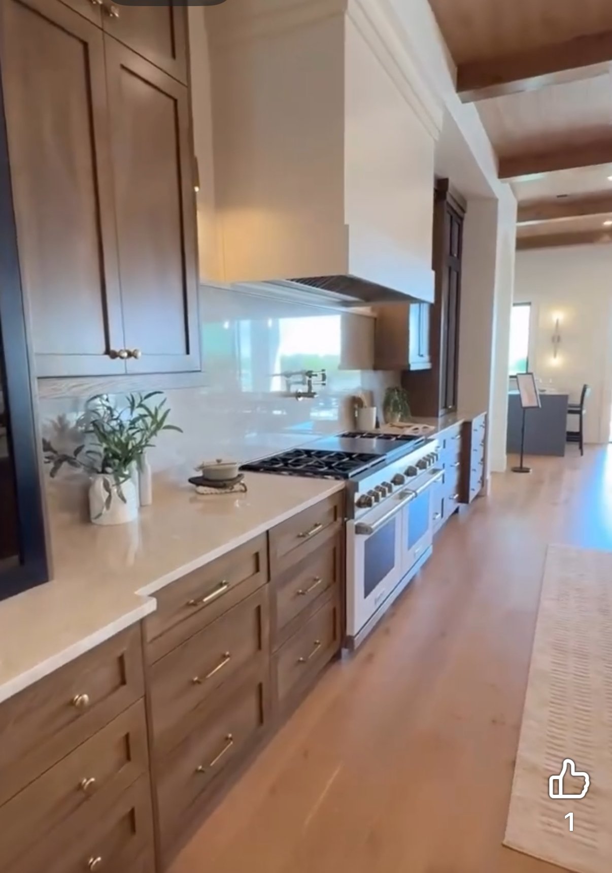 The Culinary Apex: What Luxury Appliance Owners Are Using in Their High-End Homes