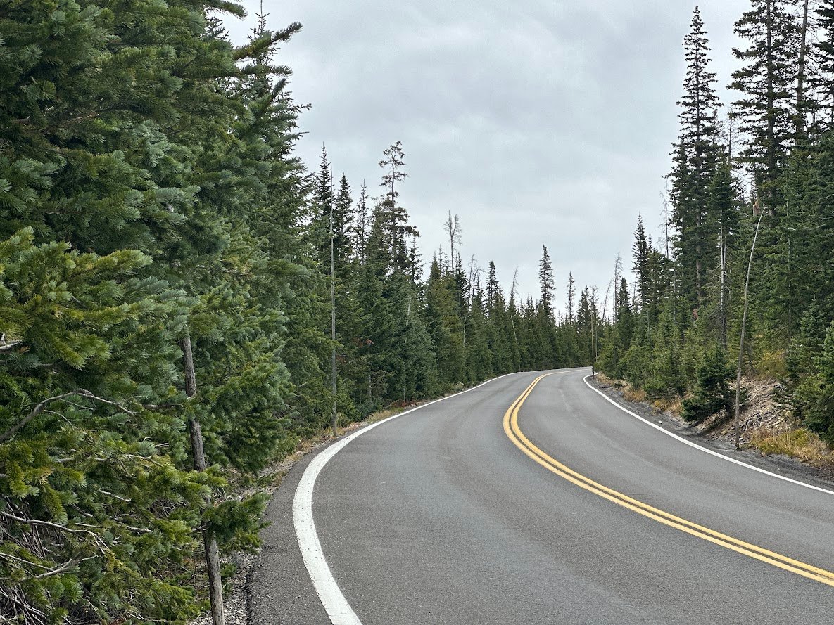 Where the Road Meets the Sky: Driving Trail Ridge Road
