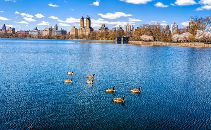 NYC Real Estate Market Update - May 2026