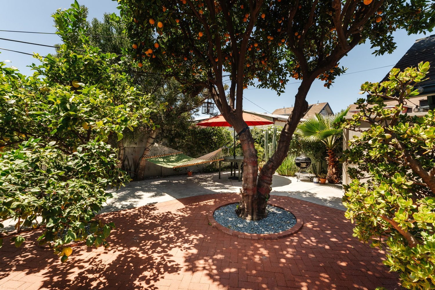 Backyard of the A.C. Tobias Residence with mature citrus trees and dappled shade.