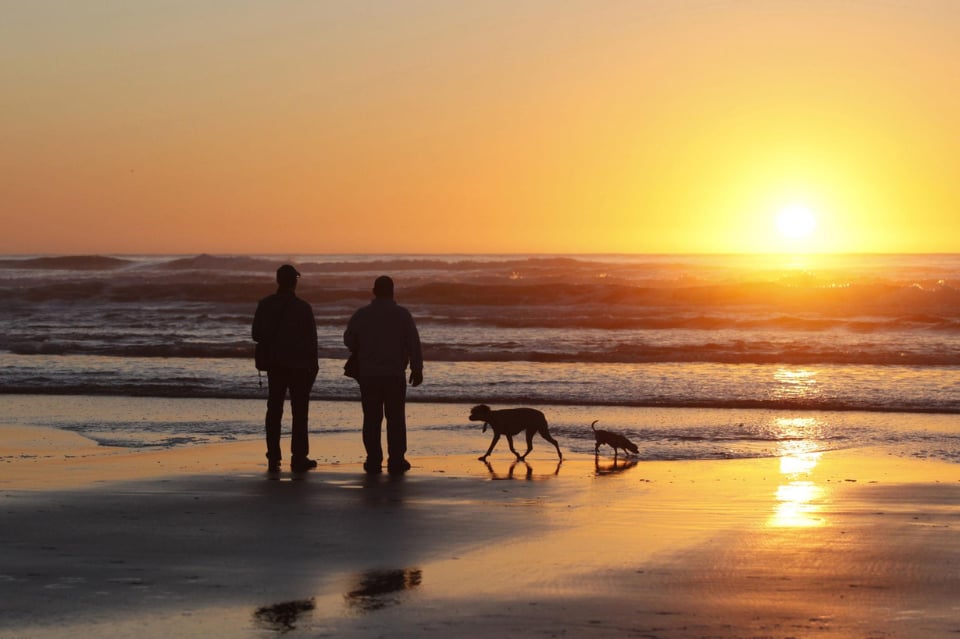 Two people walk their dogs along the shore as the sun sets over the ocean.