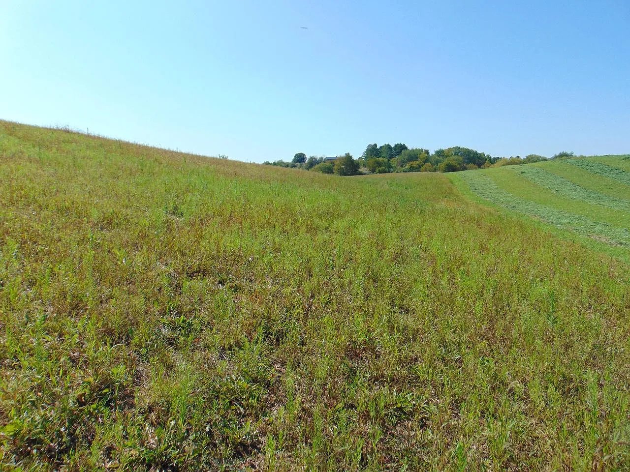 Lot 12 Maple Tree Rd