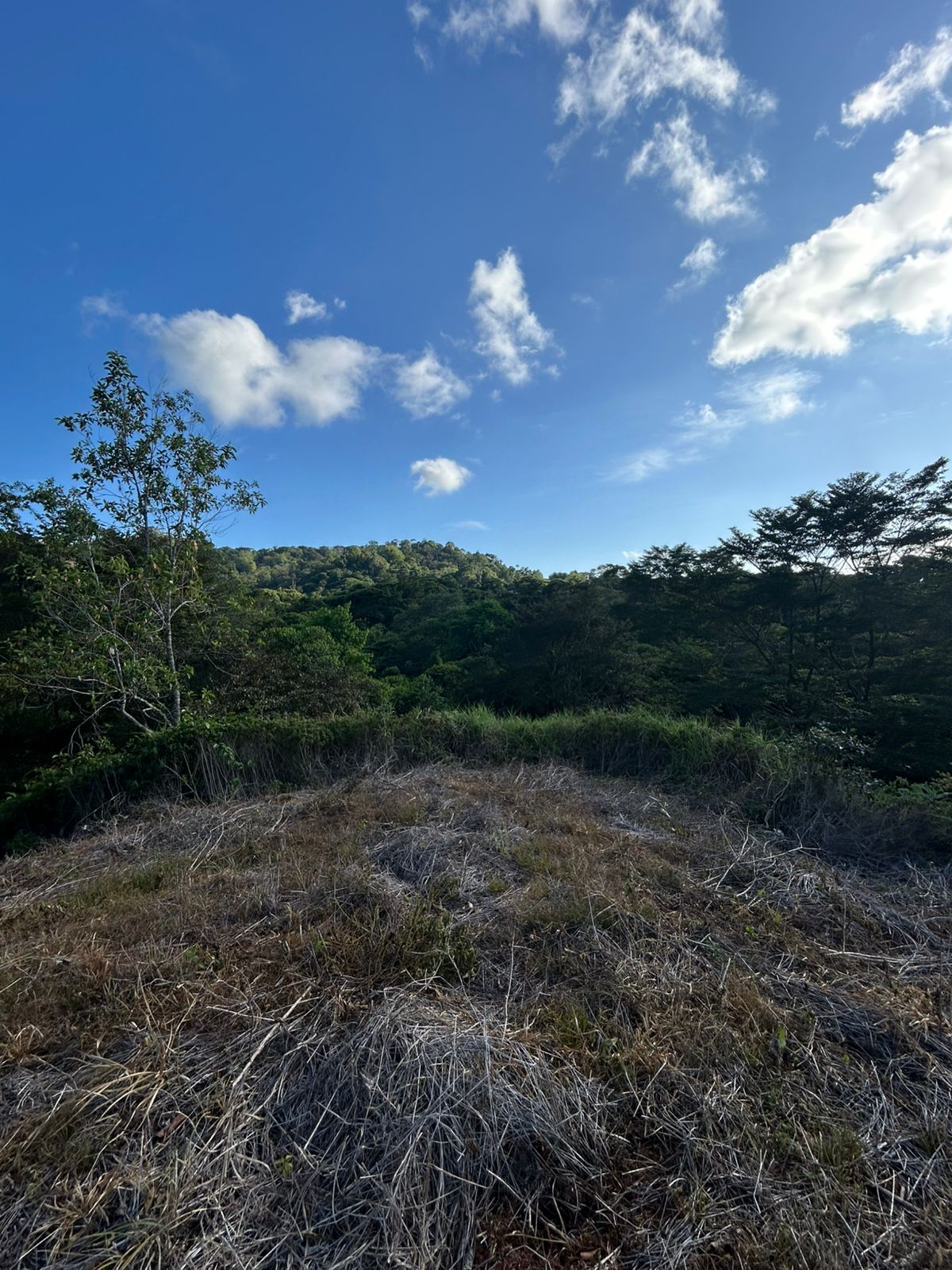 67 acres development (15 titled lots) with breathtaking views in Sierpe