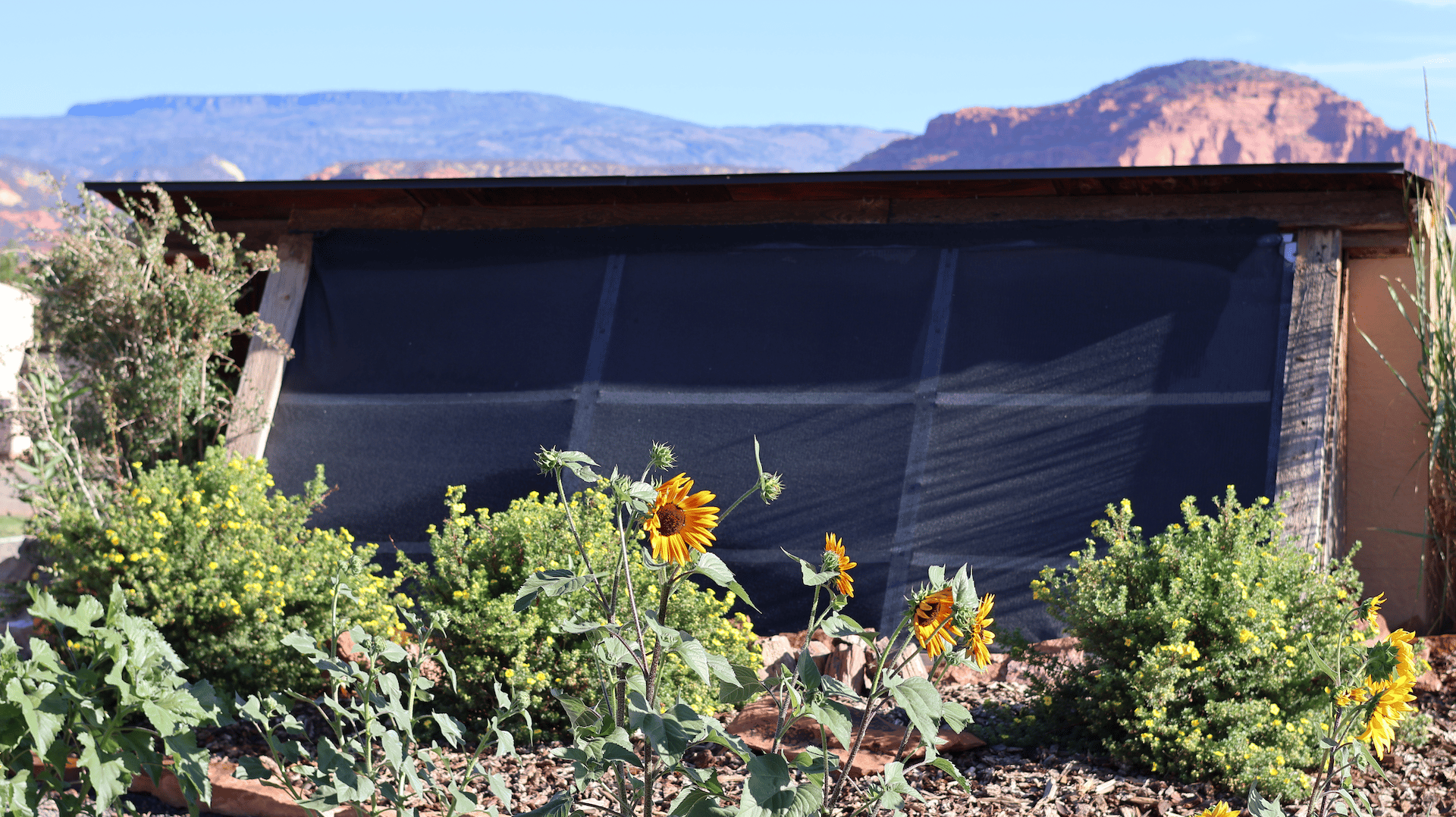 Torrey Land & Greenhouses