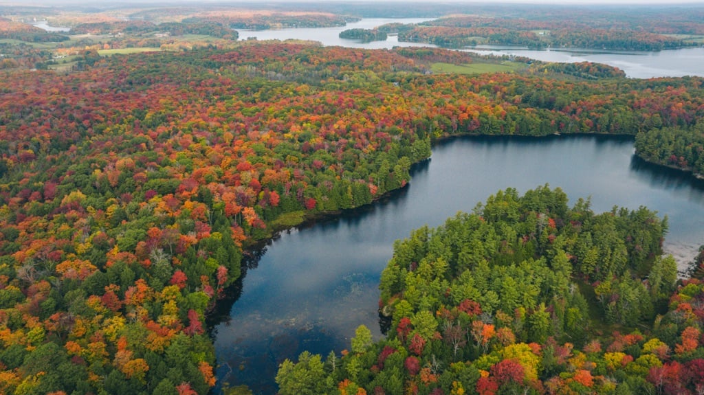 Camel Lake