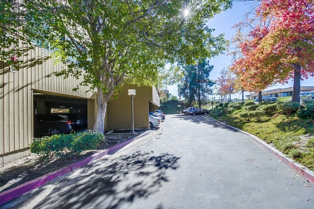 Black Mountain Point