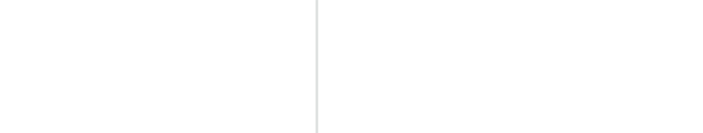 Light Logo