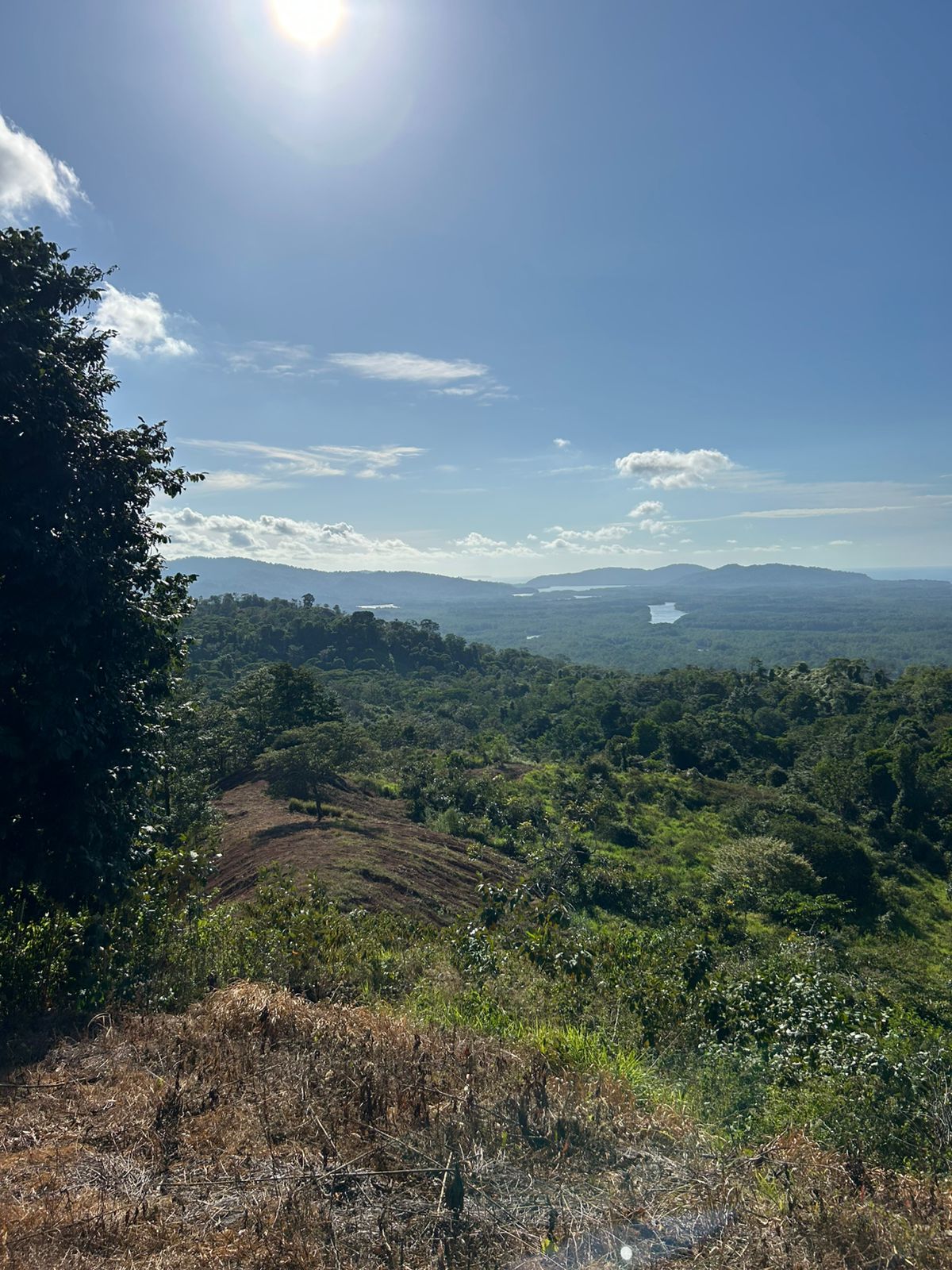67 acres development (15 titled lots) with breathtaking views in Sierpe