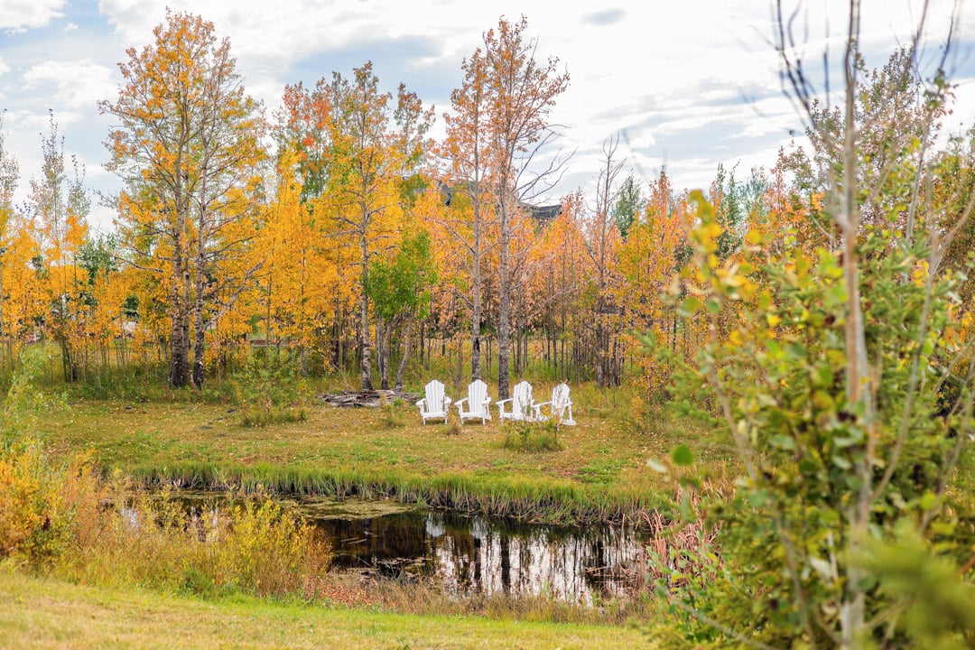Modern Custom Built Bungalow