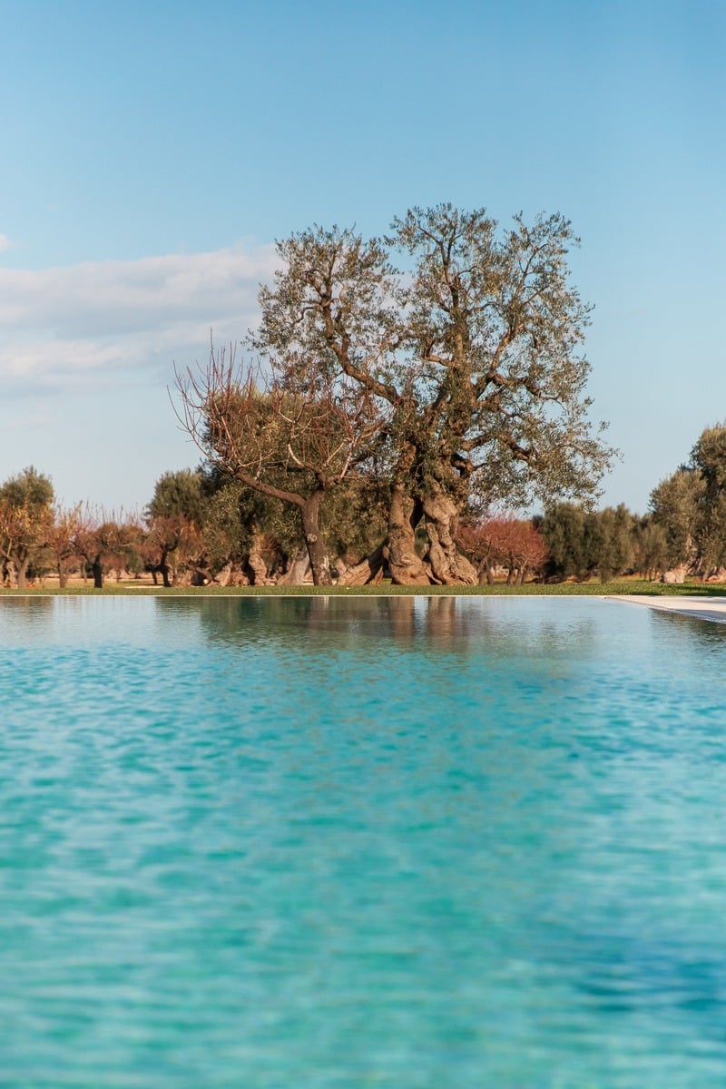 Intimate Villa Surrounded by Olive Trees Near the Town of Fasano