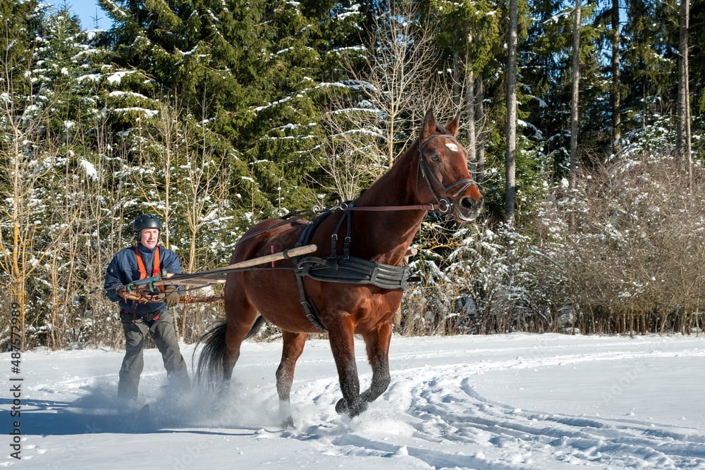 Why Red River’s Ski Joring is the Most Delightfully Chaotic Thing You’ll Witness This Winter
