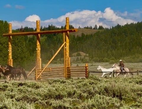 Equestrian