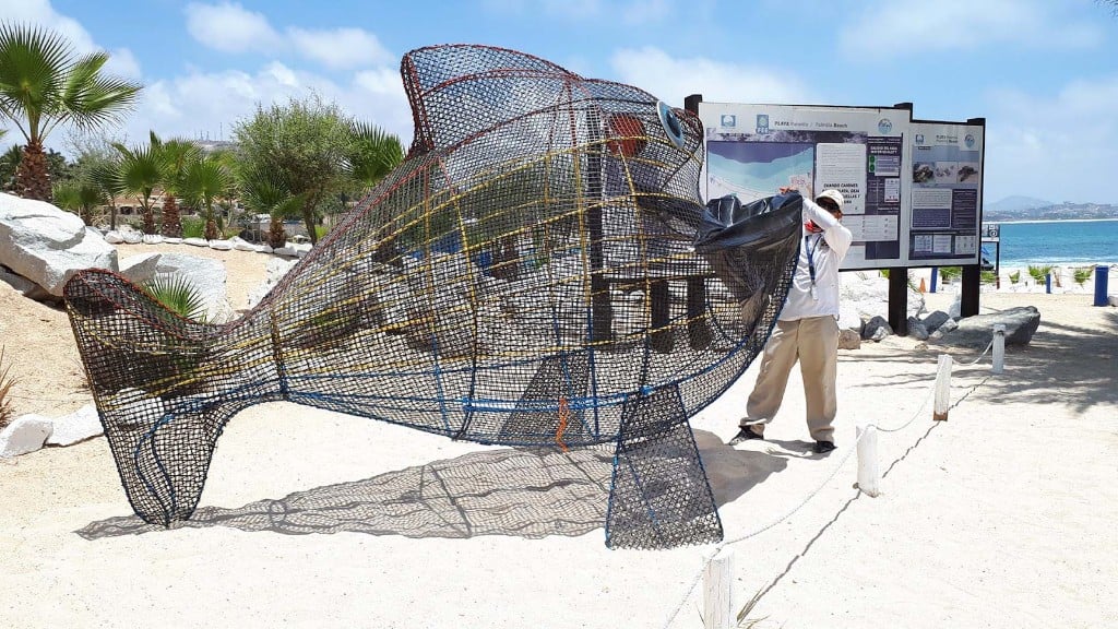 Recycling in Los Cabos