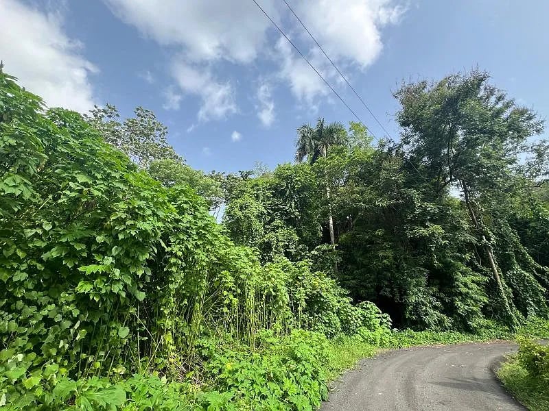 Carr 349 Km 1.01 Bo Quebrada Grande