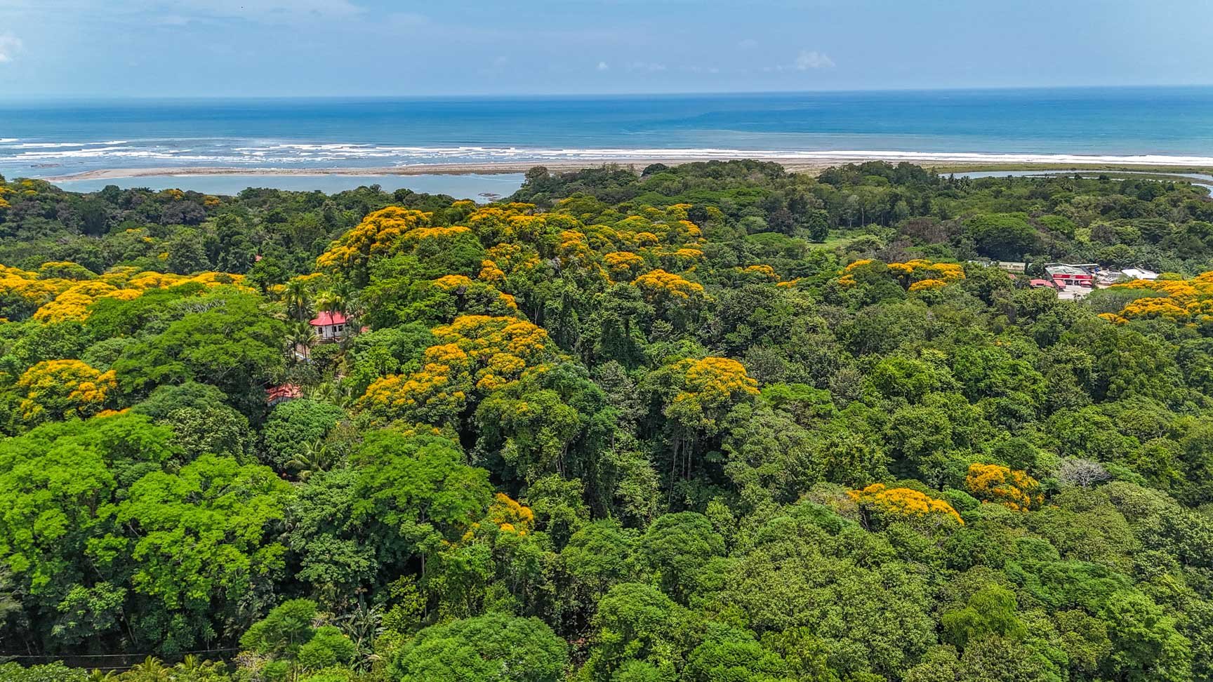 23-Acre Prime Highway Frontage Lot Near Ojochal & Ocean
