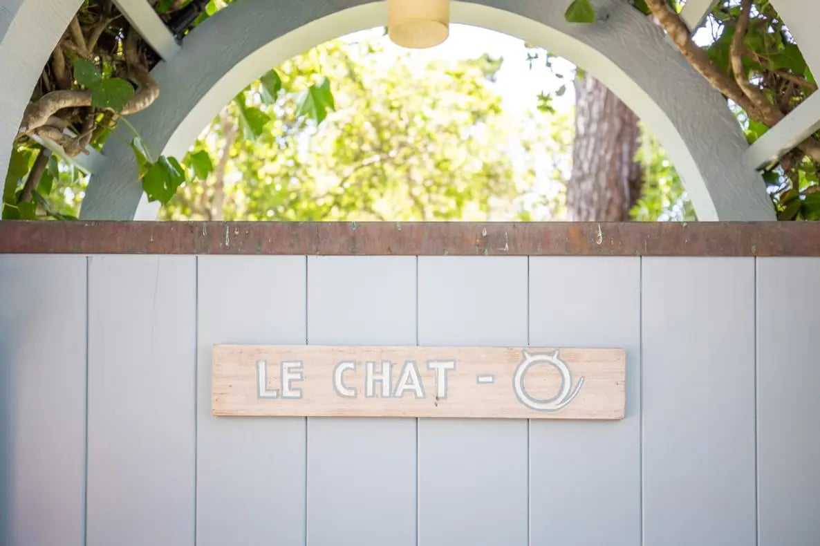 Le Chat