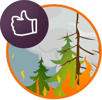 Wildfire safety