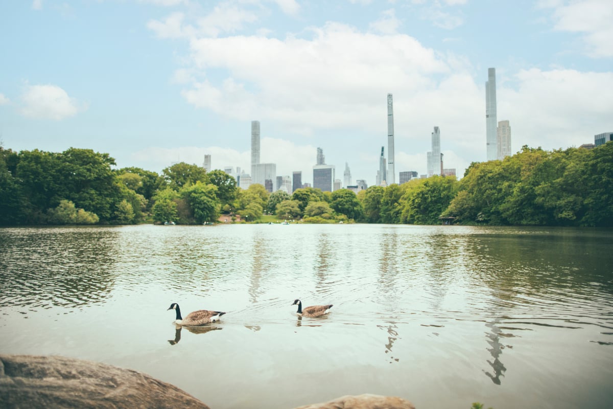 Is Climate Change Relevant When Buying in New York City?