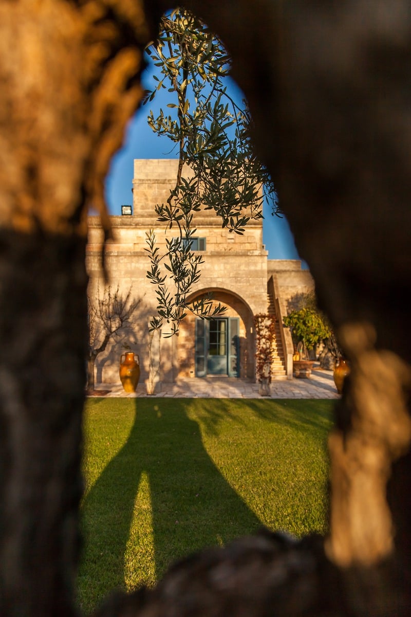 Intimate Villa Surrounded by Olive Trees Near the Town of Fasano