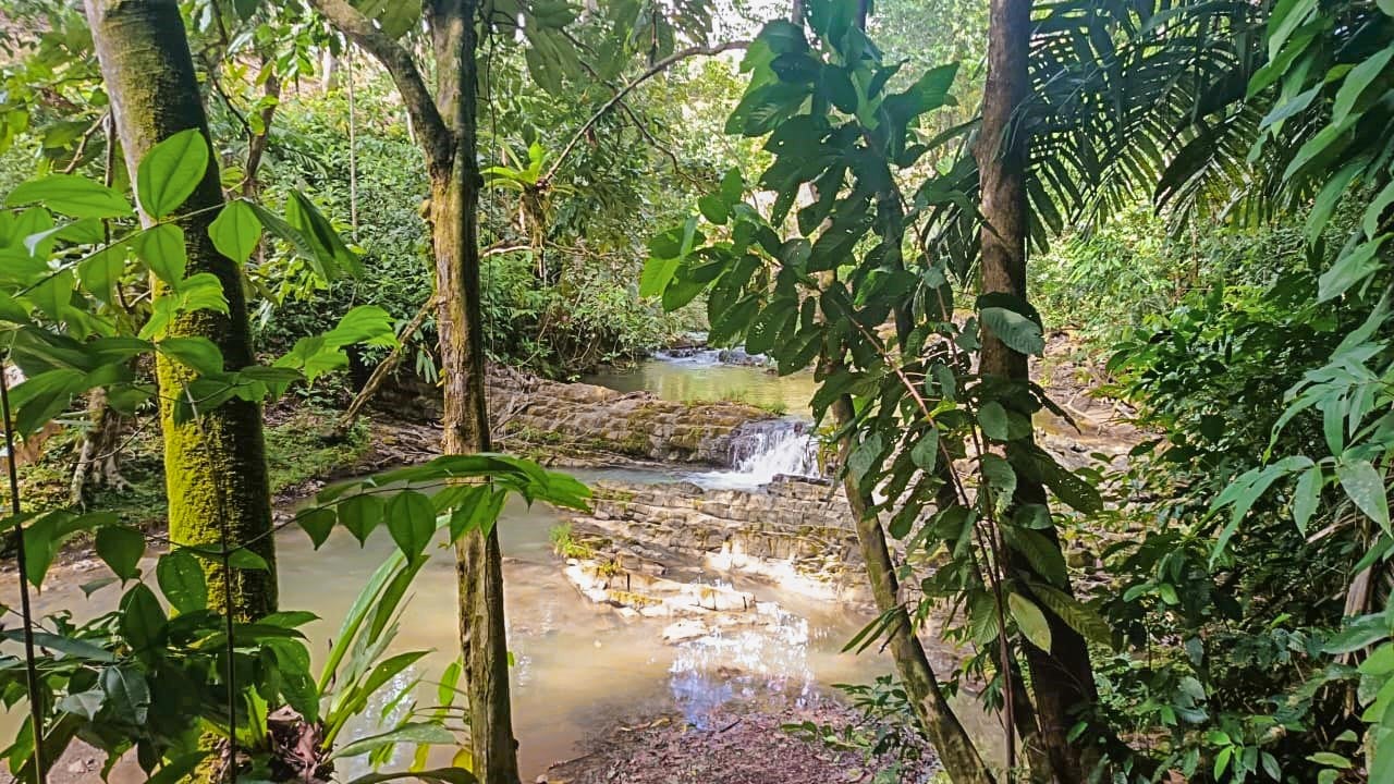 Charming 2-Bedroom Home in Ojochal, right off Finca Marañon, with stunning jungle & mountains views.