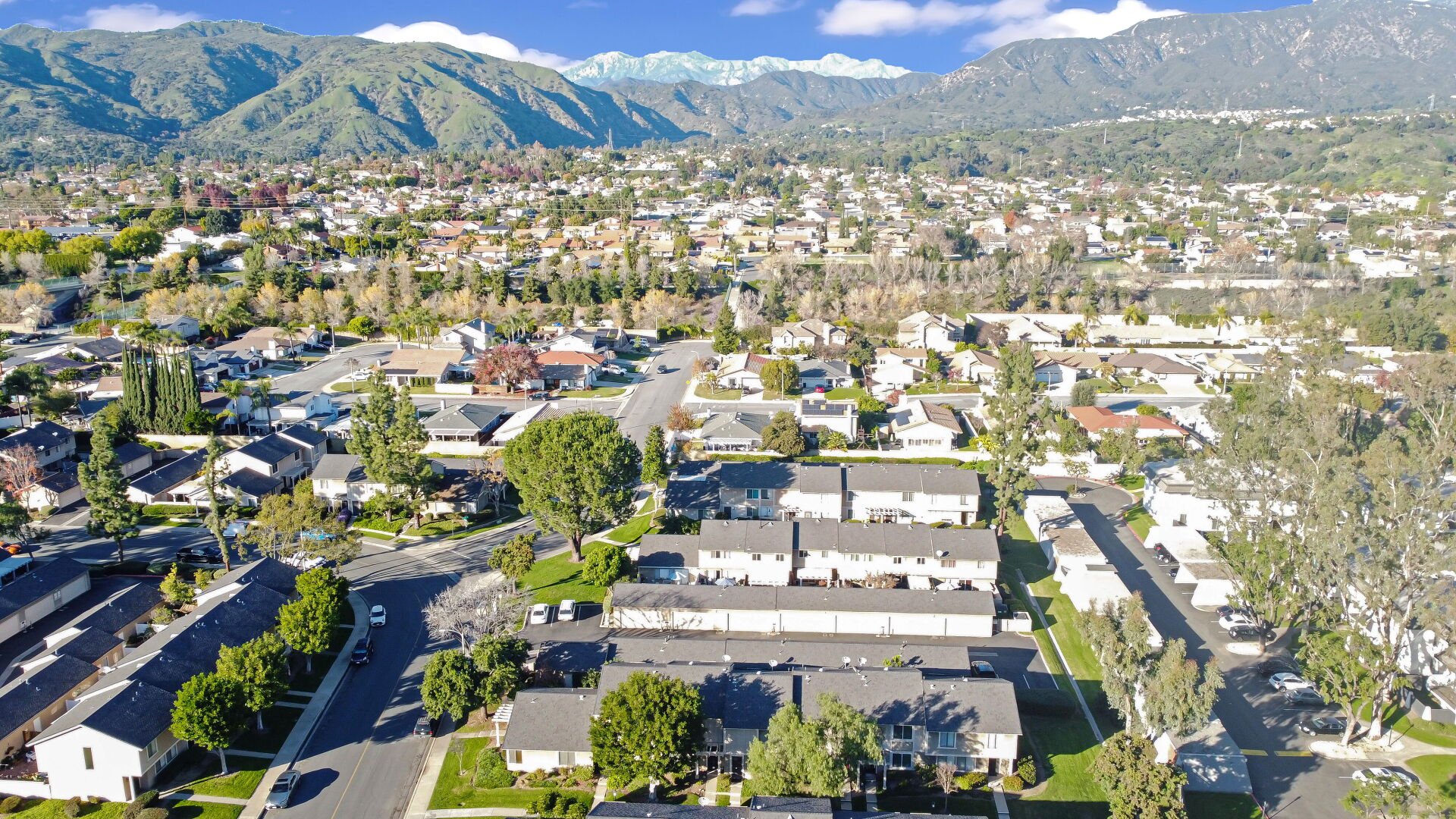 3888 Chelsea Drive