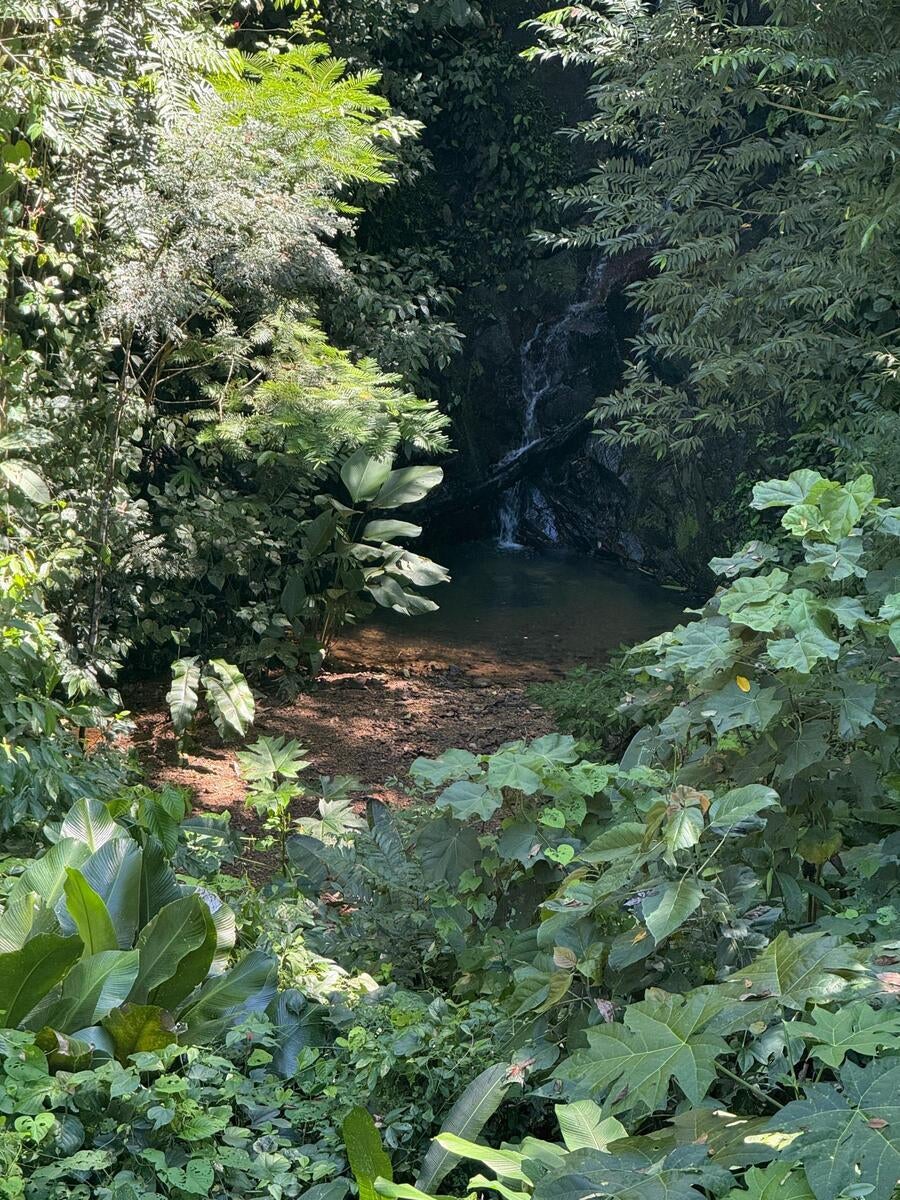 Premier Ocean View Homesite, Dominical, Puntarenas