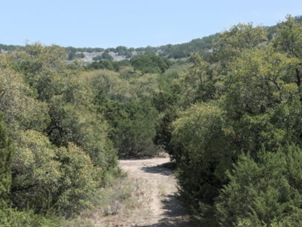 0 Indian Gap Lot 31 B