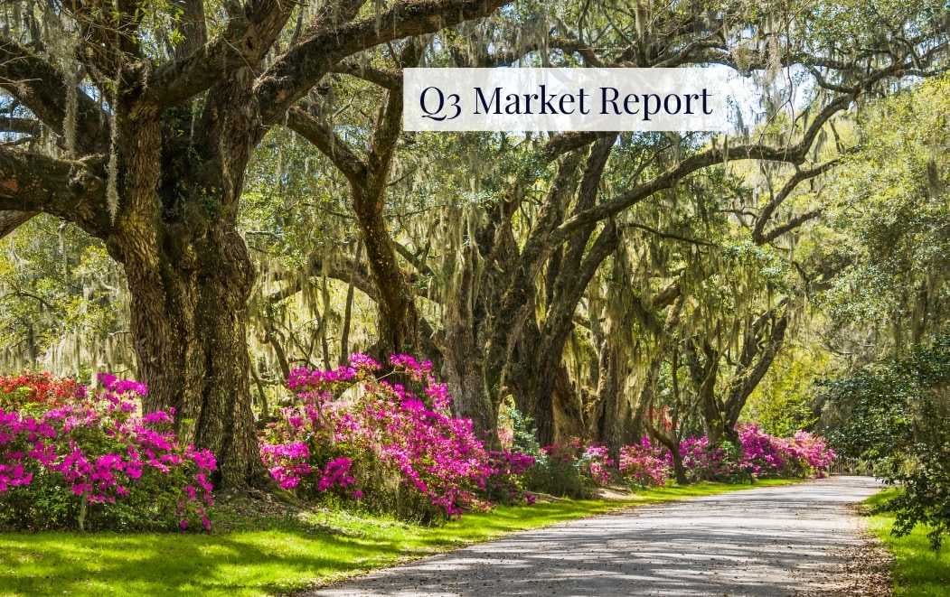 oak canopied tree lined street in charleston with blooming pink azaleas