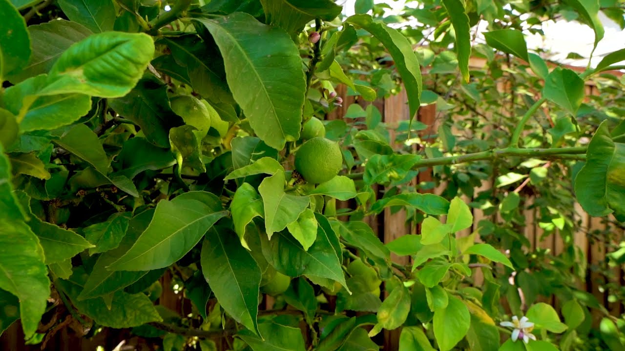 24437 Michelson St, Hayward, CA