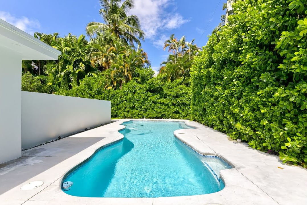 Curved turquoise pool with a white deck, privacy hedges, and palm trees.
