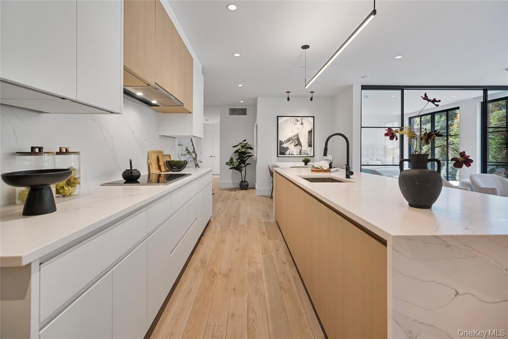 41 Richmondville Ave Unit: Duplex 2