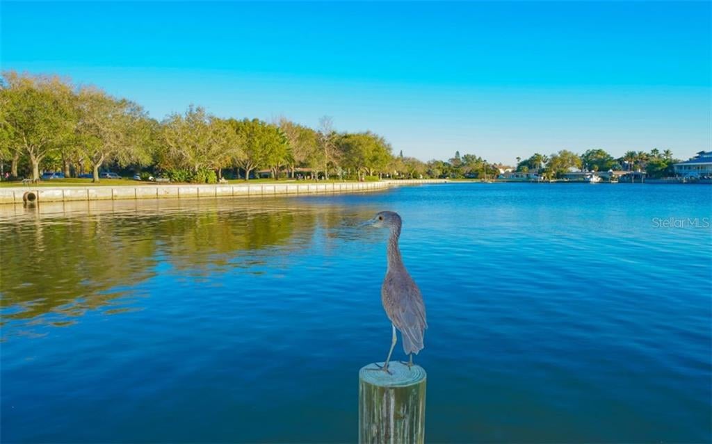321 Ringling Point Dr.