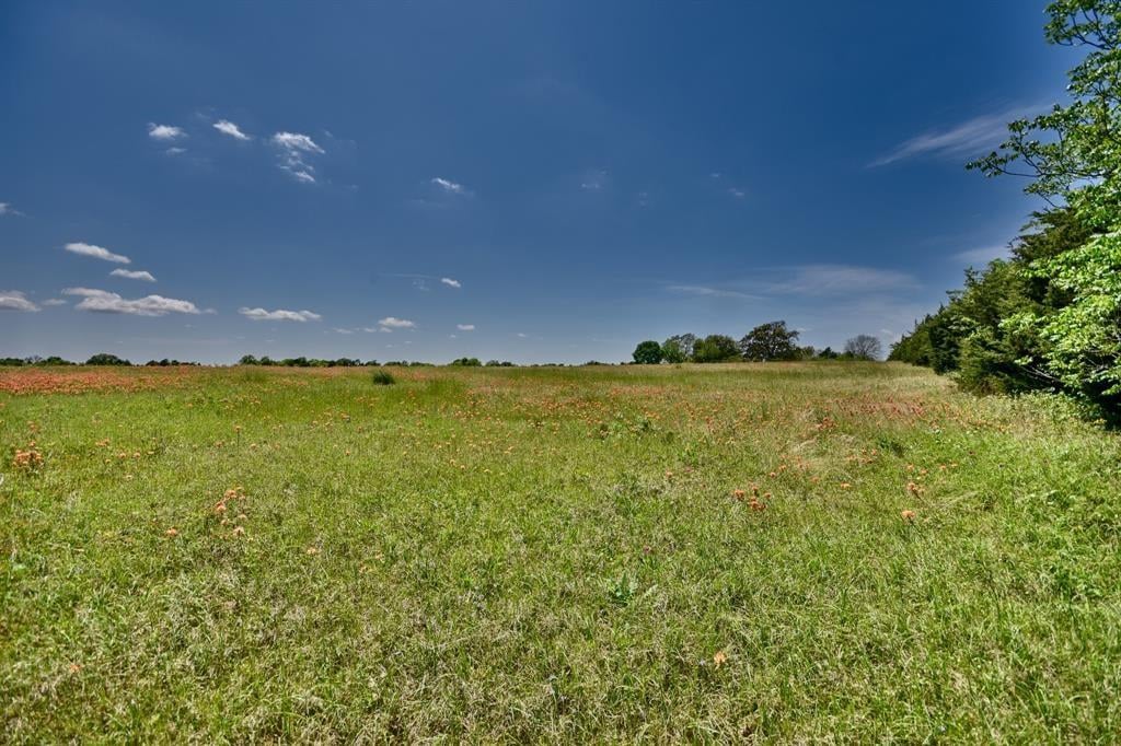 000 Spreen Rd Brenham, Tx 77833