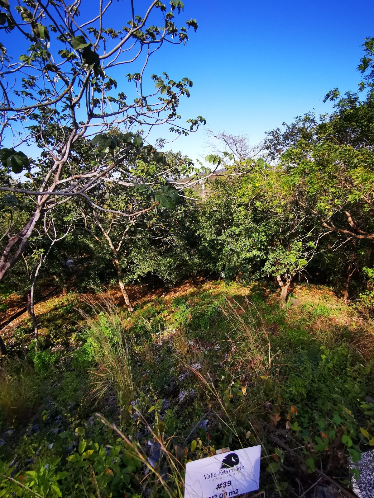 Valle Escondido