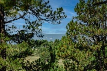 4125 Walker Vista Heights