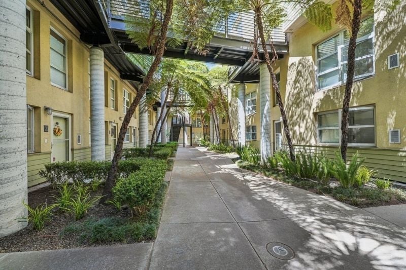 An internal courtyard view of the Harbor Lofts complex, showing a pedestrian walkway lined with lush ferns and palm trees, and residential units on both sides.