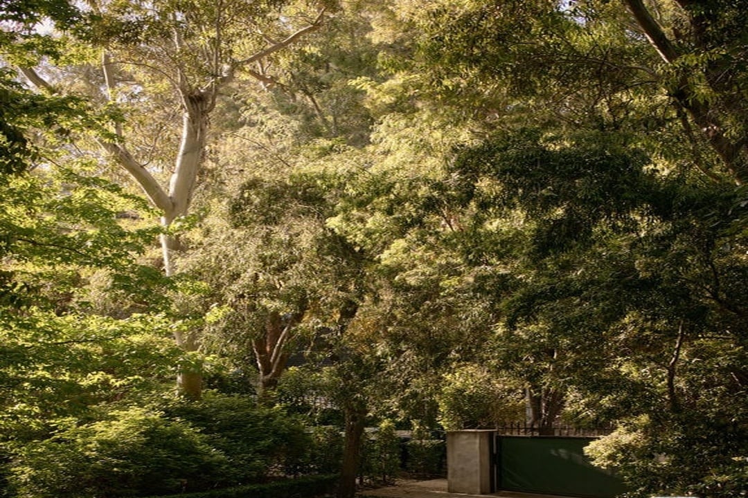 Sanctuary Cascade