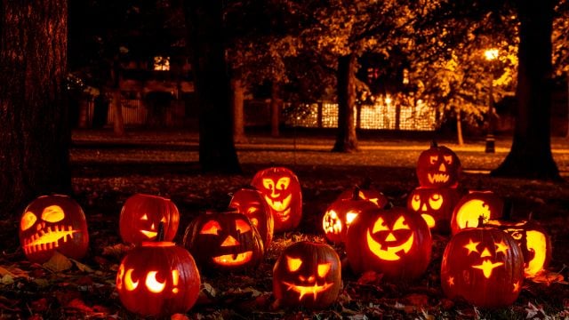 TOP 5 BEST Halloween Events Toronto 2024, Haunted Houses Halloween Hunts, Halloween Parties