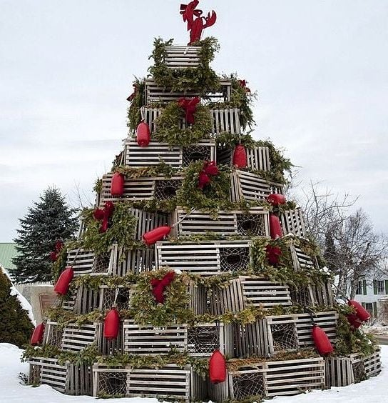 **How the Christmas Tree Ended Up in New England (And Why Cape Cod Perfected It)**