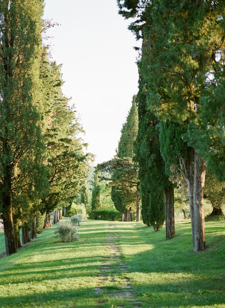 Wide Estate Composed of Houses and Amenities